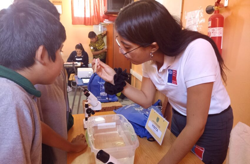  Seremi de Salud de Tarapacá invita a participar en el concurso “Secos contra el mosquito»