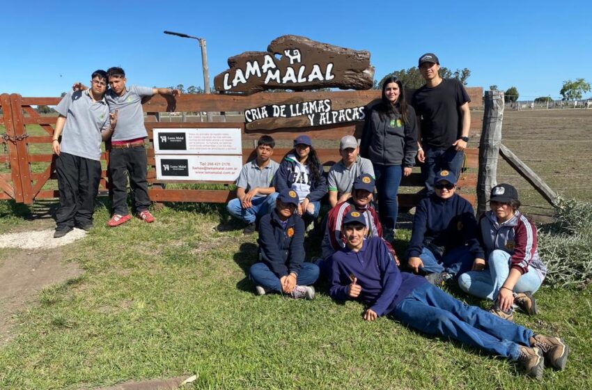  Estudiantes del Liceo Bicentenario de Pica regresan con nuevos aprendizajes de pasantías en Francia y Argentina