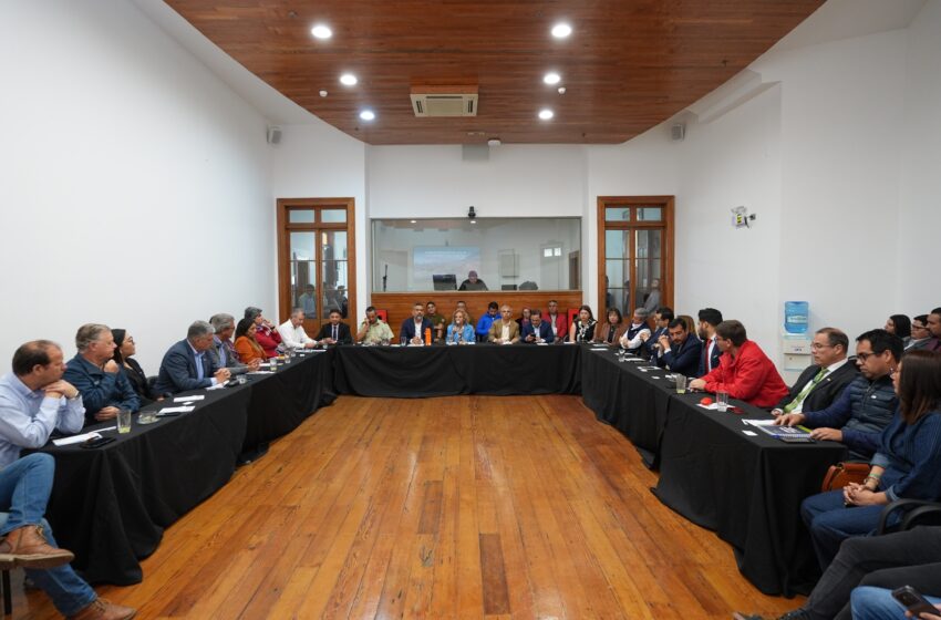  Collahuasi activa plan de apoyo para contribuir a la recuperación de Tarapacá