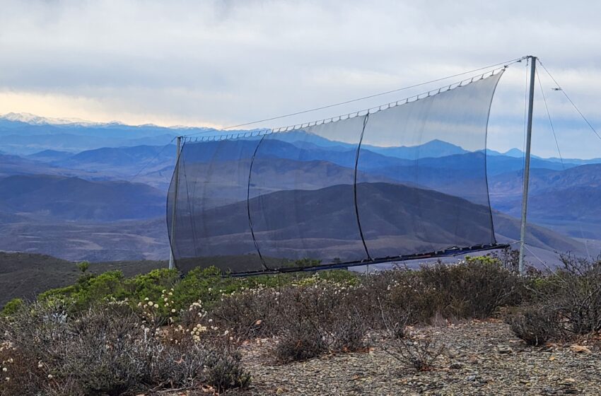  Comisión Nacional de Riego abre concurso para promover soluciones basadas en la naturaleza y fortalecer la seguridad hídrica